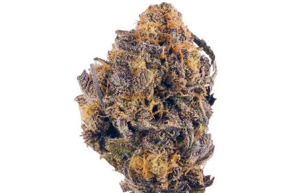 Violet Kush 26% CBD+CBG+CBDA