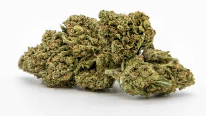 Dream Queen 22% CBD + CBG