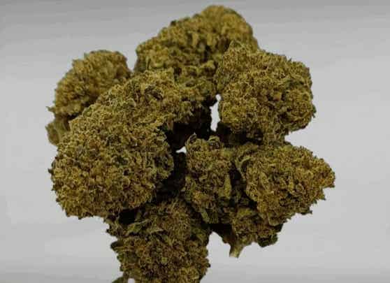 Cannatonic 25% CBD