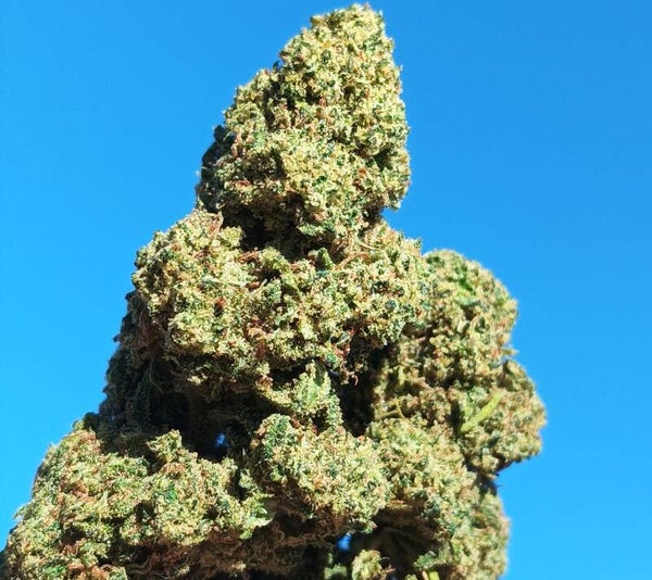 La Fresa 18%CBD+ CBG