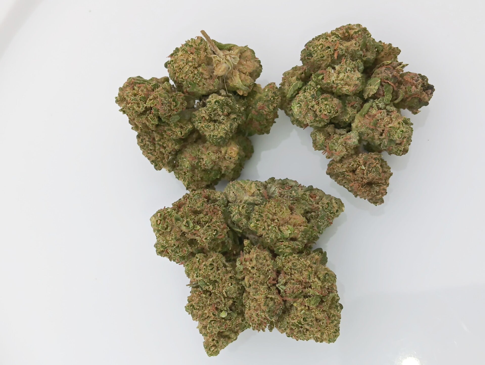 CBD Biscotti INDOOR 24%CBD
