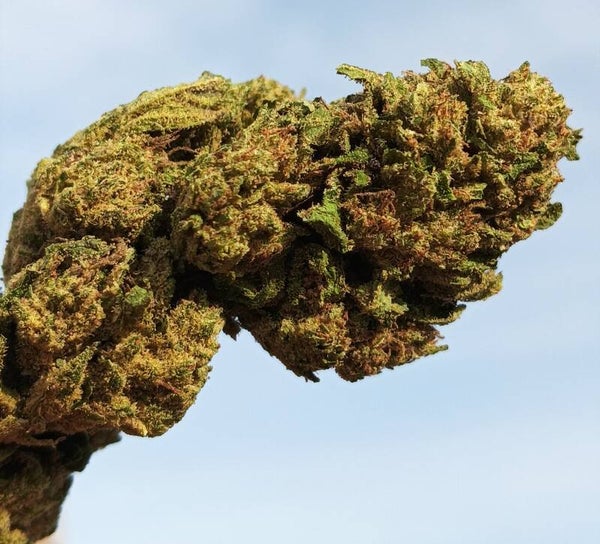 New Pineapple CBD CBDA 22%