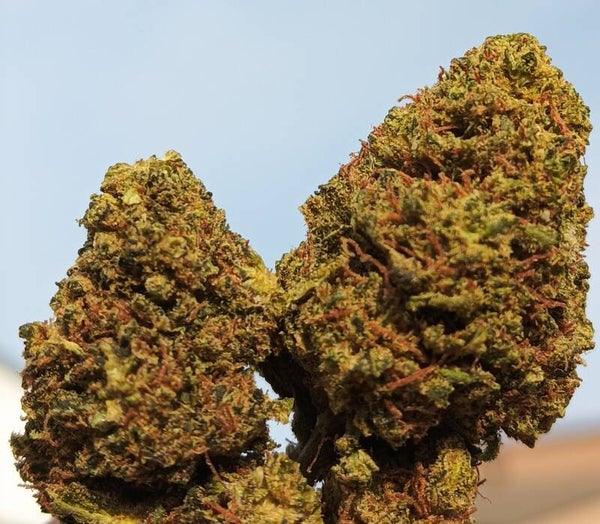 Golden Haze 25% CBD