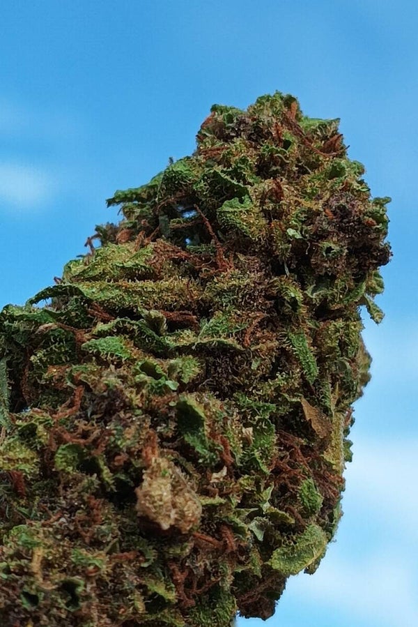 Wedding cake 25% CBD