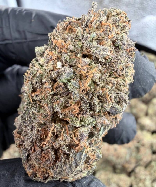 Black Mango Pepper CBD INDOOR