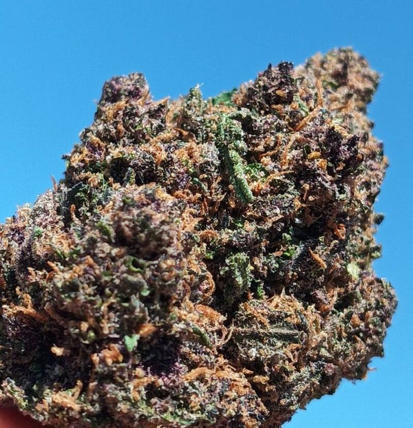 Jelly Saphire Hydro 26% CBD
