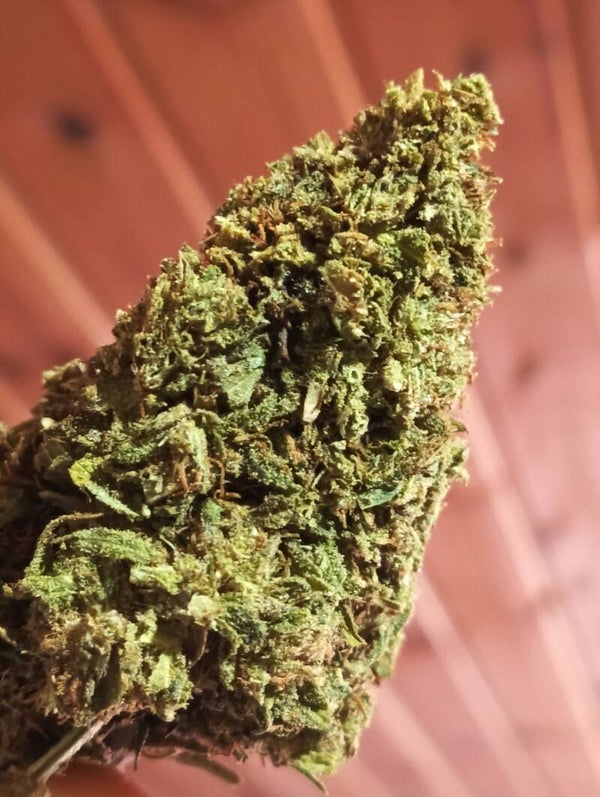 CANNATONIC🏝️ CBD BigBuds