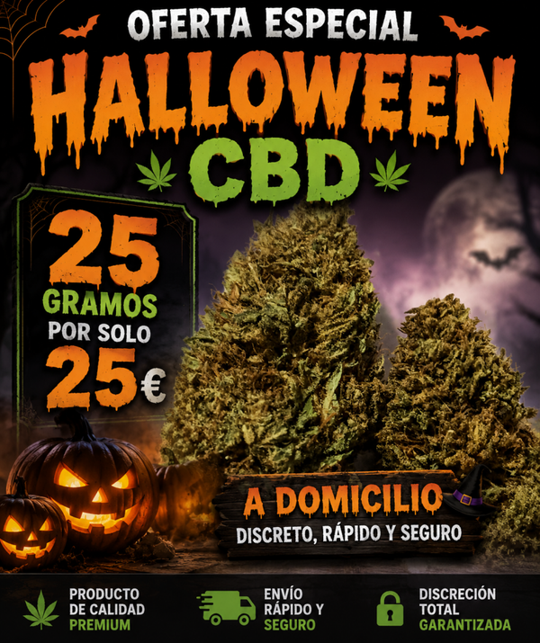 Promoción Halloween 🎃