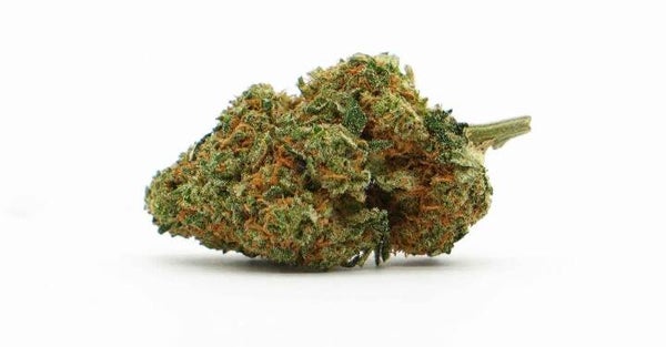 NEW Lemon Tonic 26% CBD