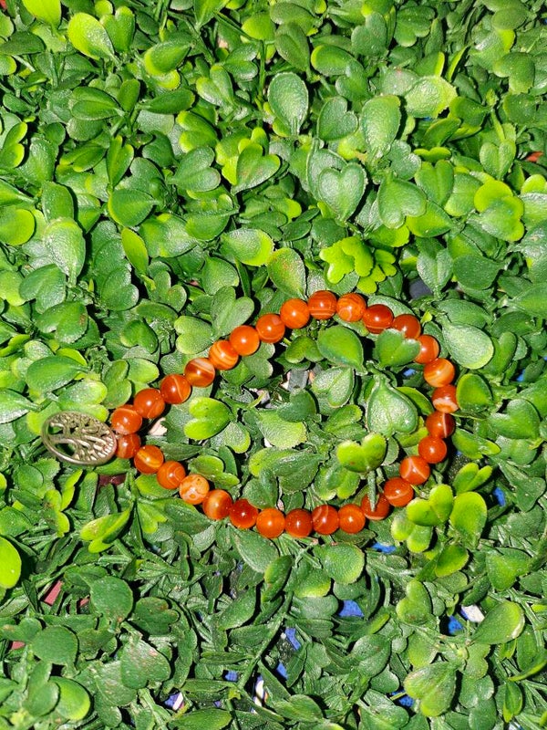 Bracelet en pierres de cornaline - 6mm