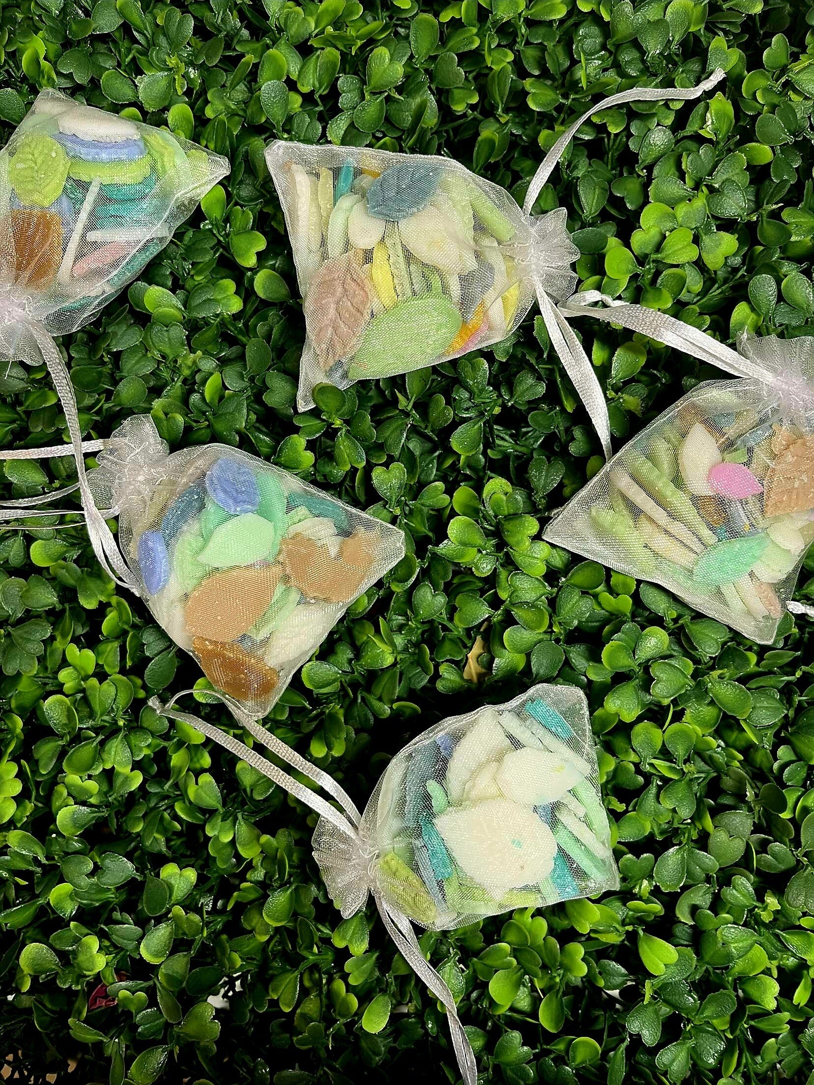 Nos feuilles de Nymphes