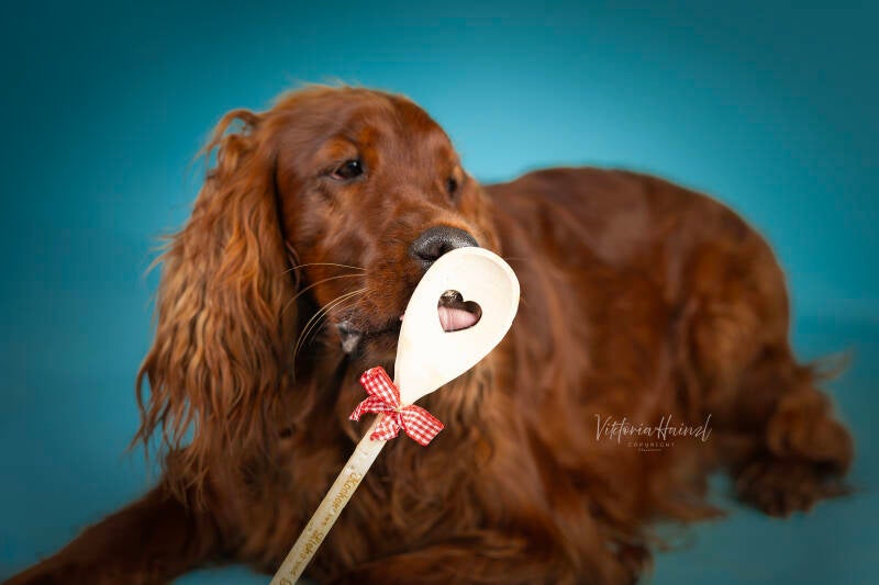 fotoshooting_cleo_37-002l-standard.jpg