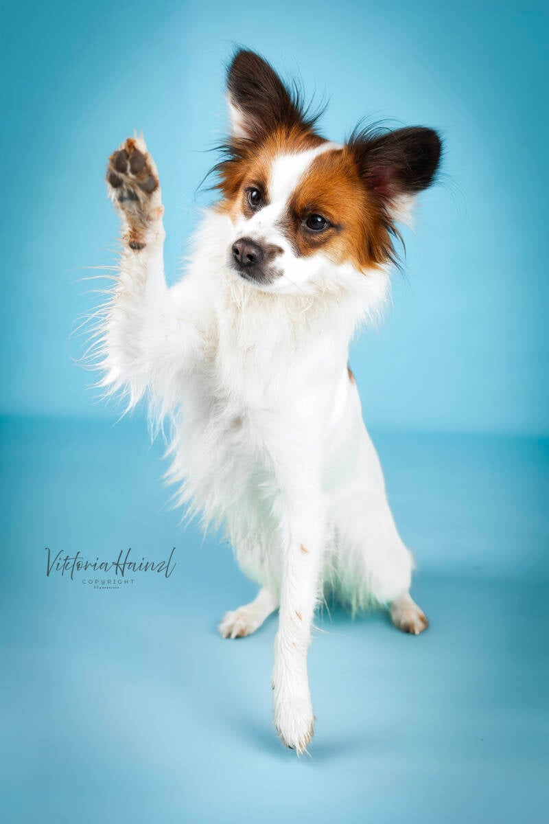 fotoshooting_lenny_9-023l-standard-zmjnjf.jpg