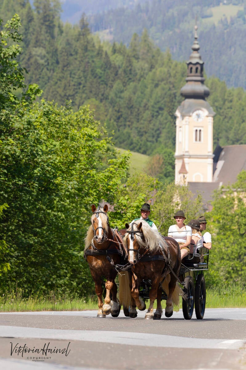 zugpferdetreffen_breitenau_2026_1-kopie-standard-7llbig.jpg