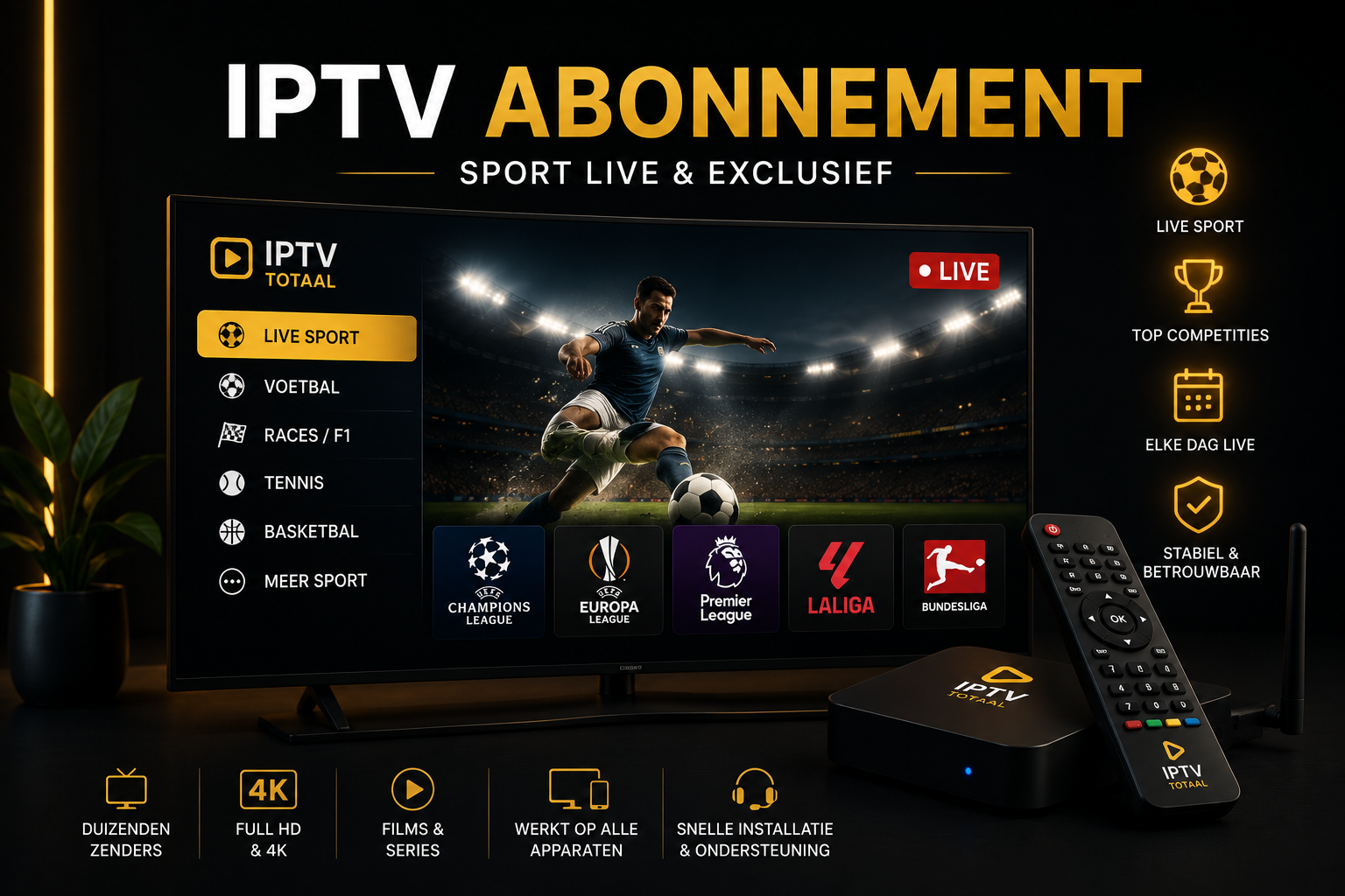 6 maanden IPTV