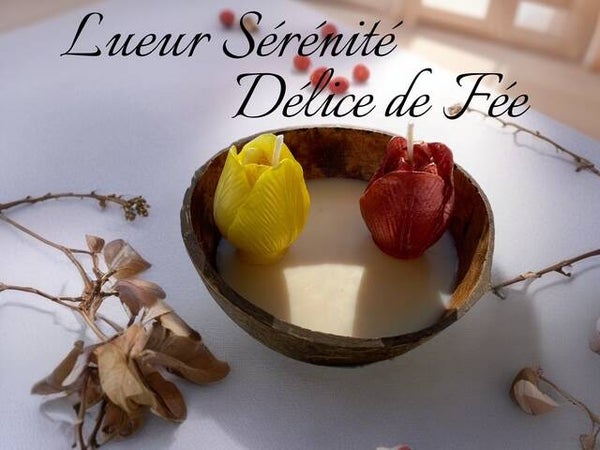 🧚‍♀️ Délice de Fée – La bougie enchantée aux fruits et fleurs