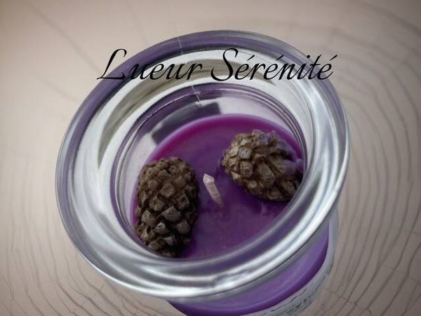 "Sortilège Sylvestre"