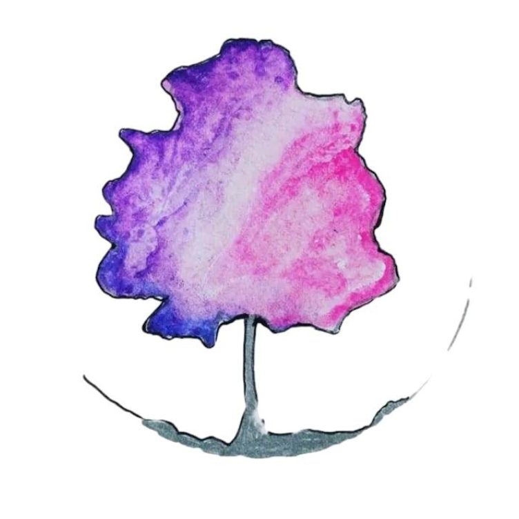 Thème unique -1/2h-