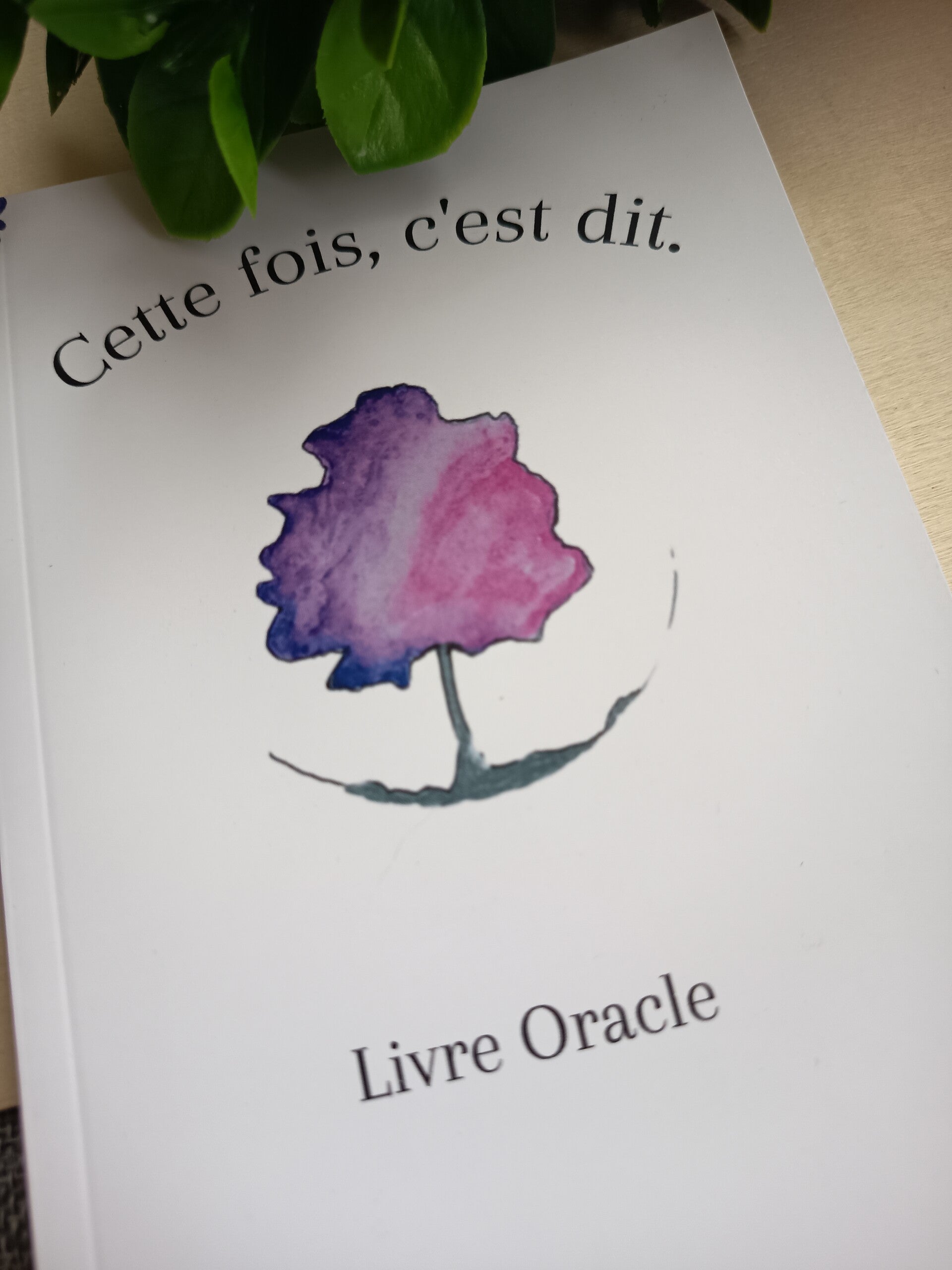 Cette fois, c'est dit - Livre Oracle