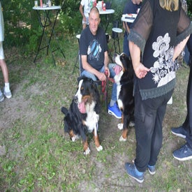 889df030-8588-438f-a948-efff72d35576-standard.jpg