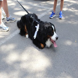 img_1747-standard.jpg