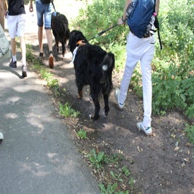 img_1754-standard.jpg