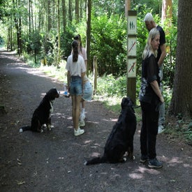 img_1780-standard.jpg