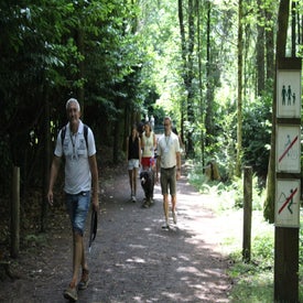 img_1790-standard.jpg