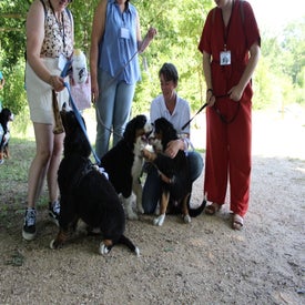 img_1816-standard.jpg
