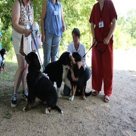 img_1817-standard.jpg