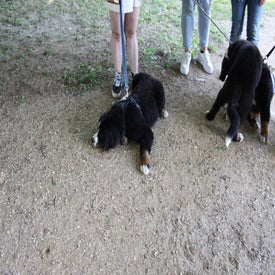 img_1820-standard.jpg