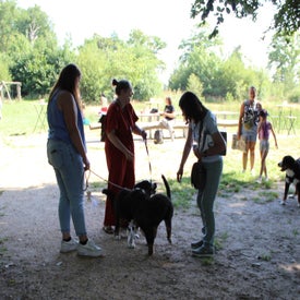 img_1821-standard.jpg