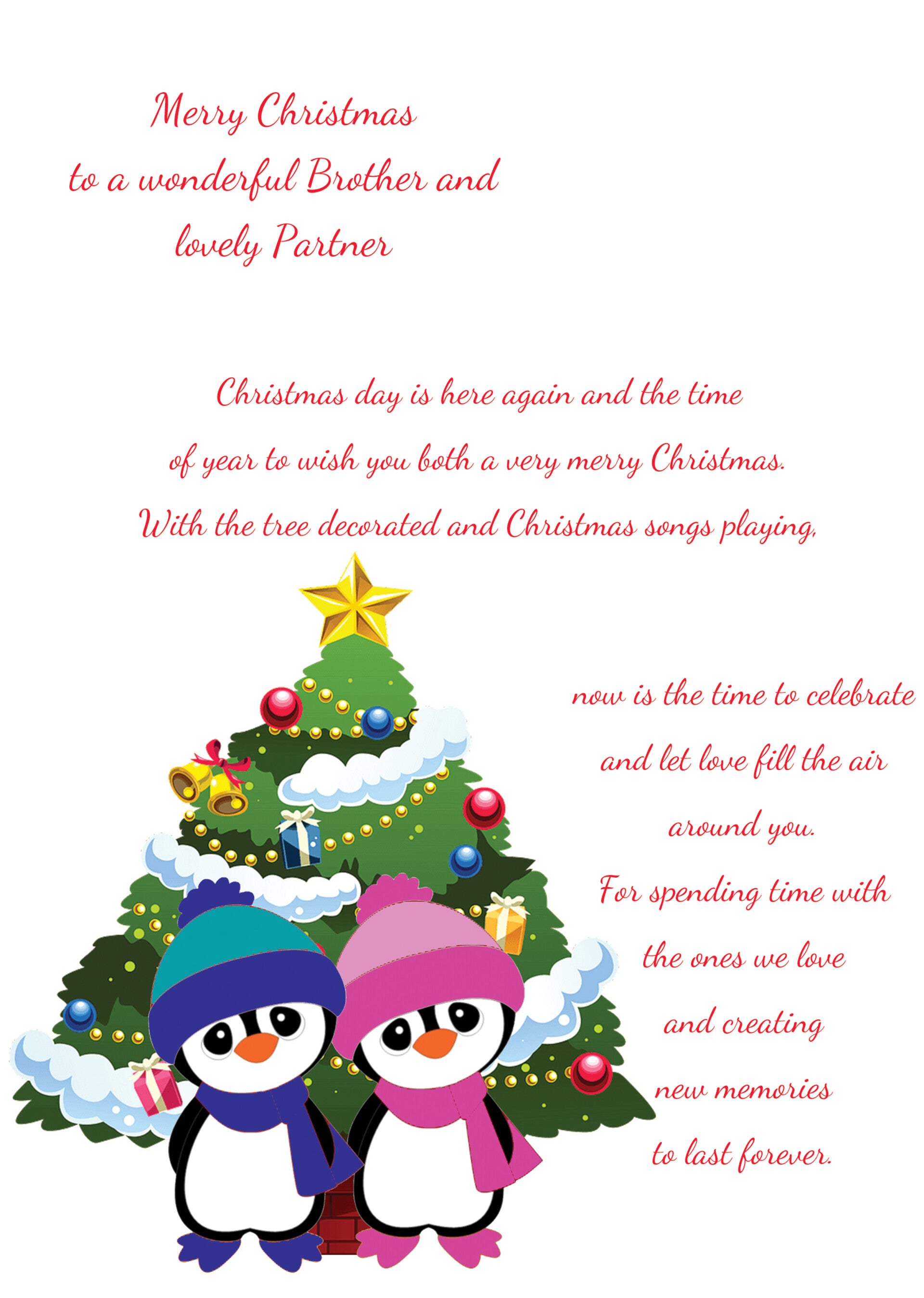 Brother and partner Christmas Card