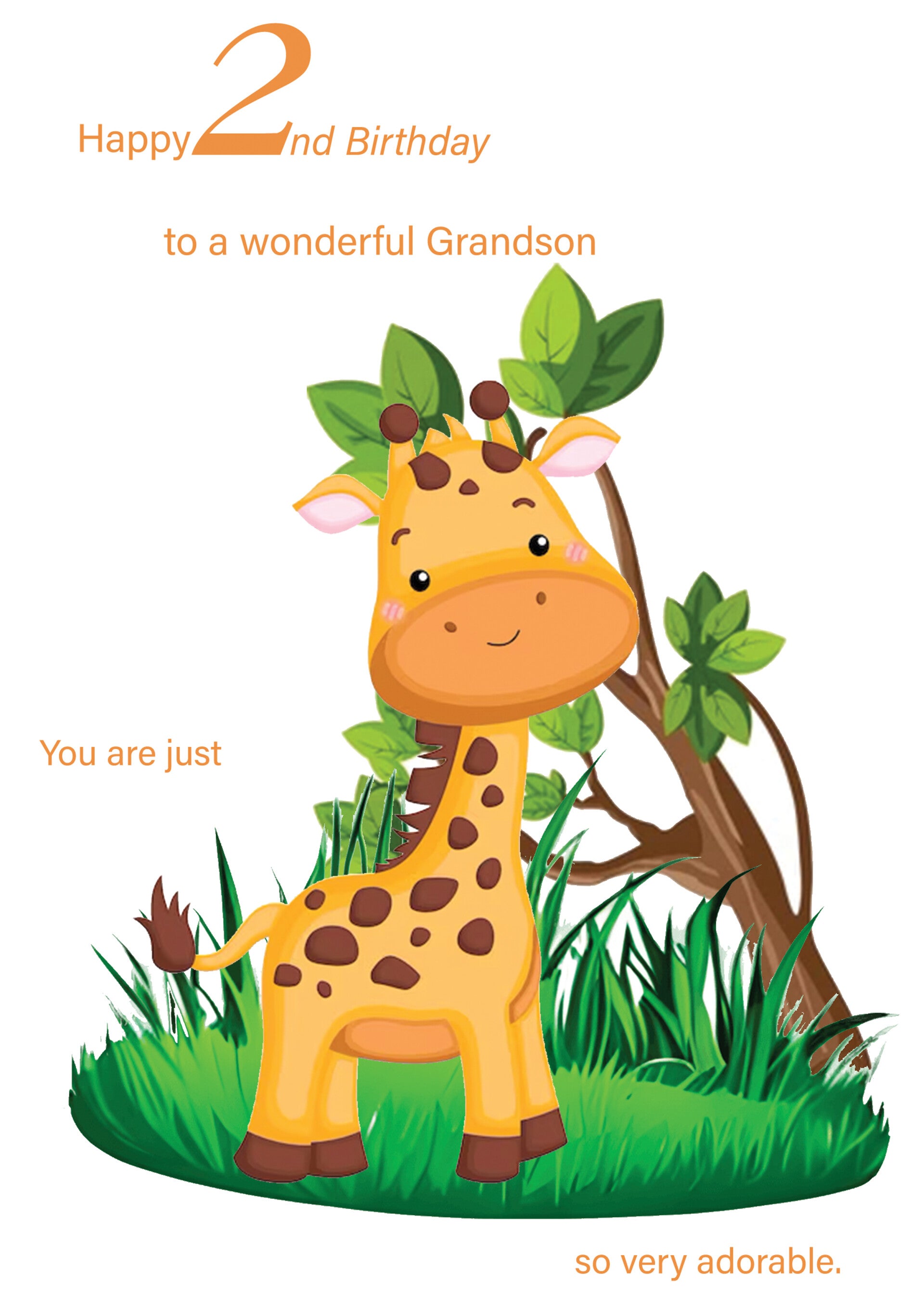 Grandson 2nd Birthday Card