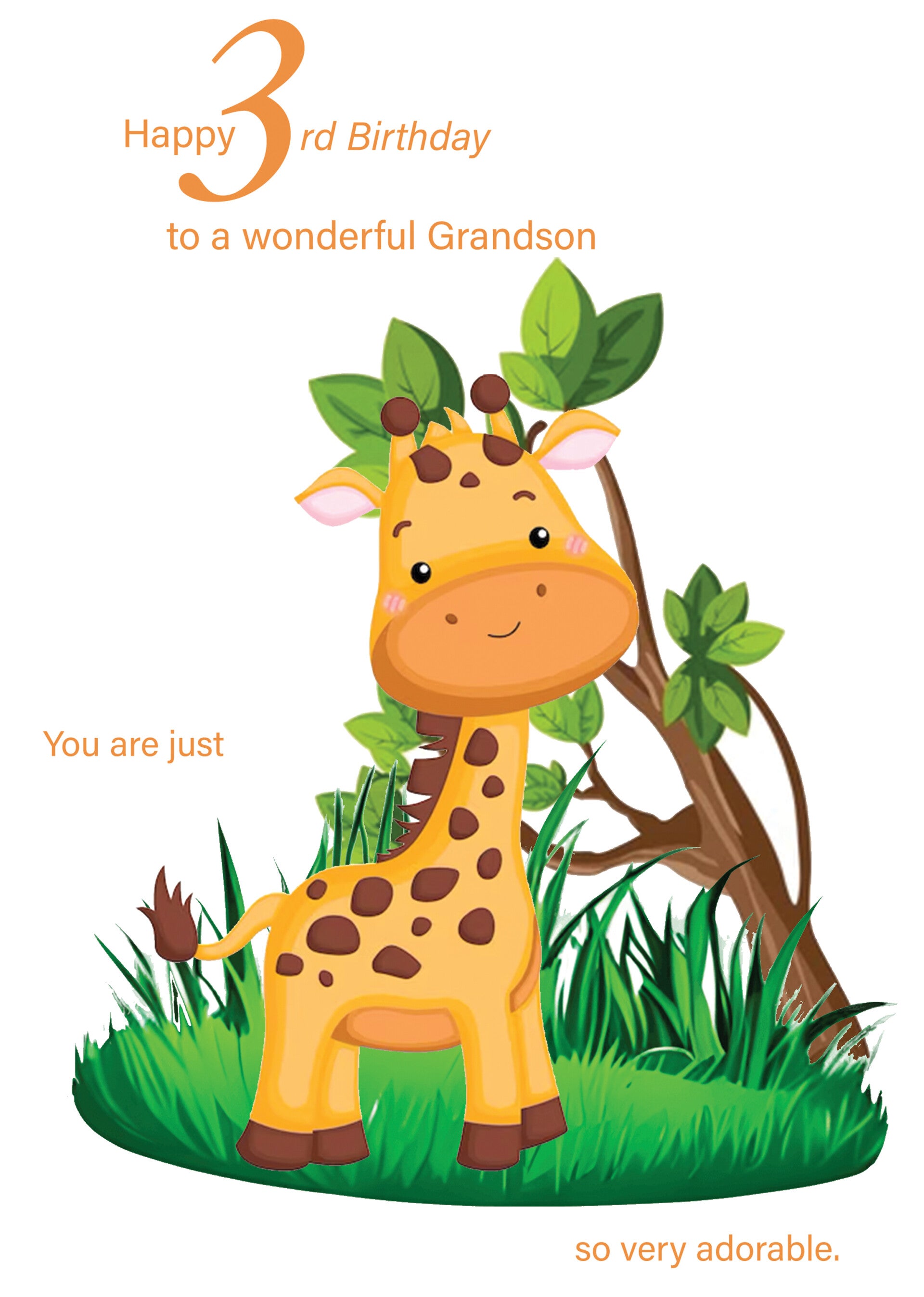Grandson 3rd Birthday Card