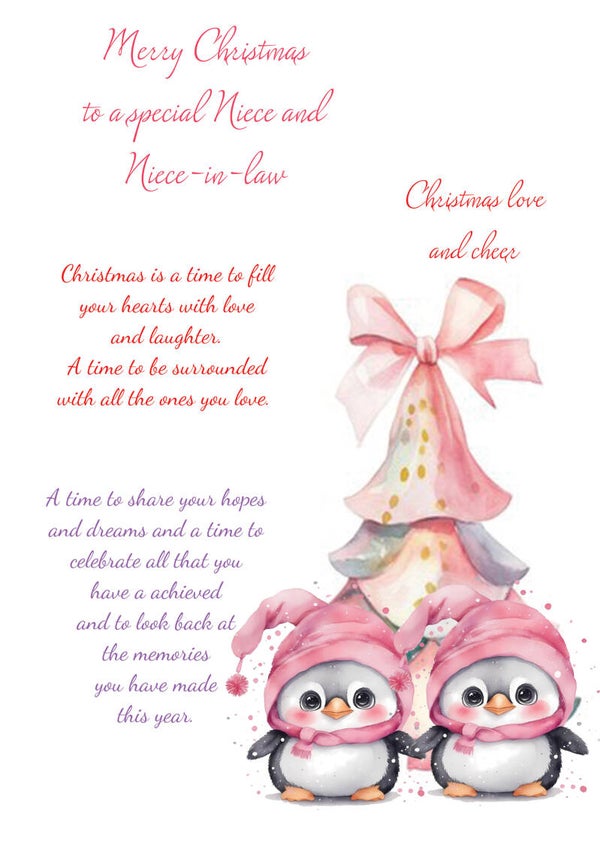 Niece and Niece in law Christmas Card