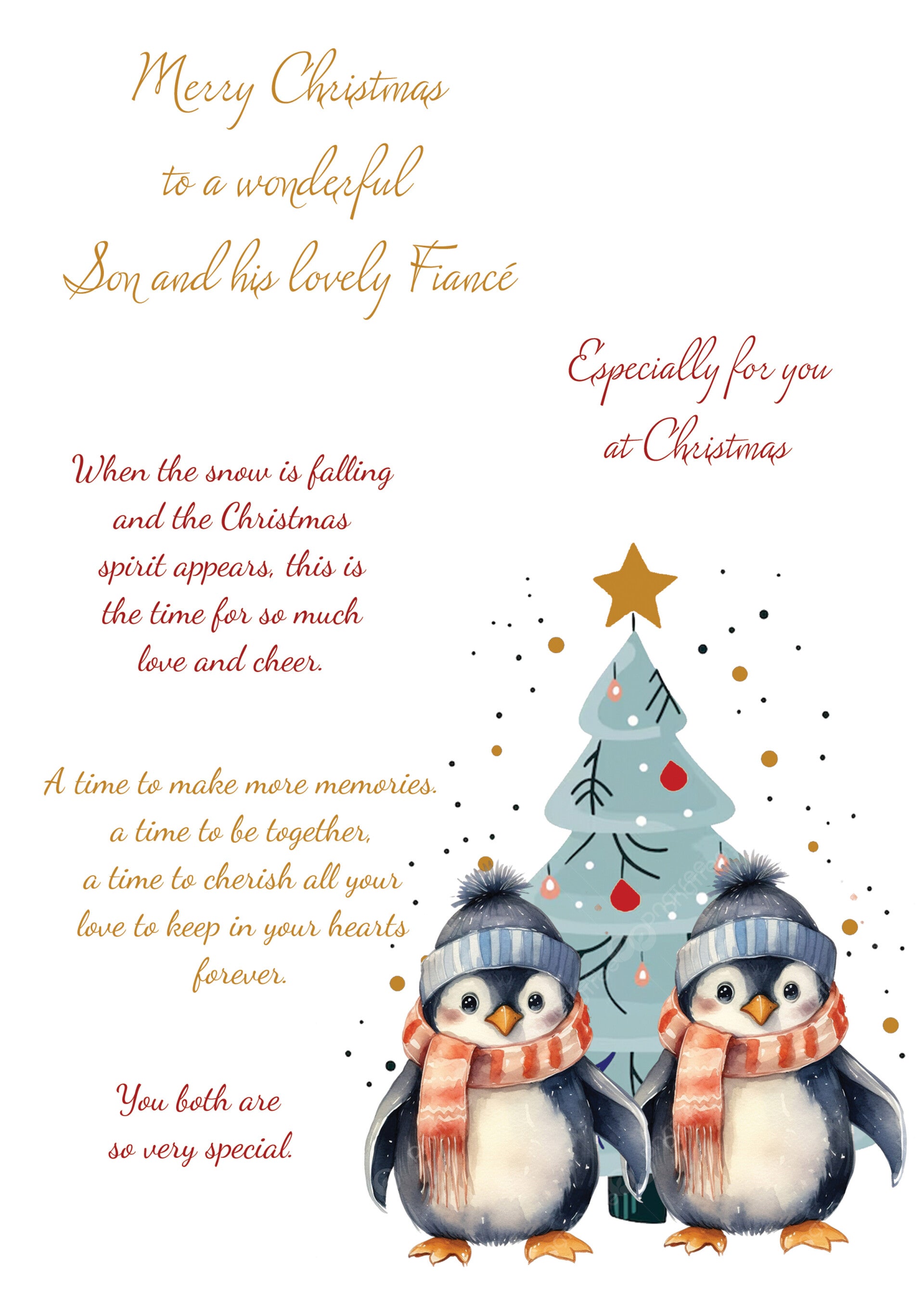 Son and Fiancé Christmas Card (male and male)
