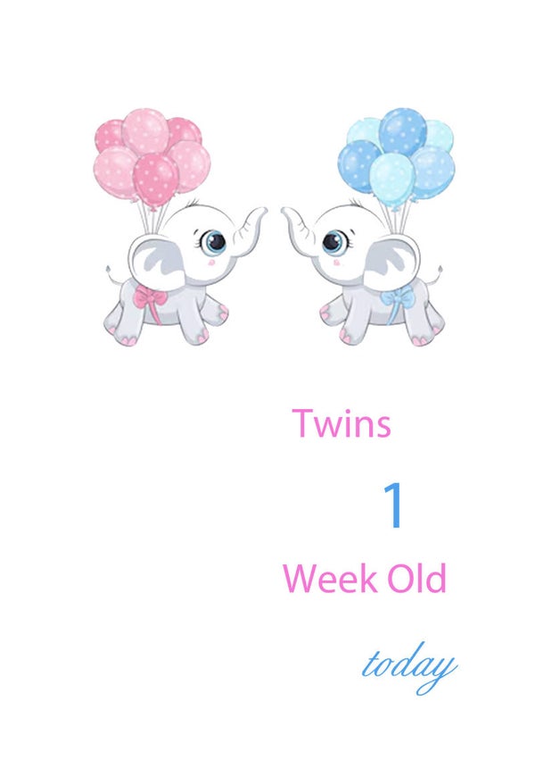 Milestone Baby Cards Twin Girl and Boy