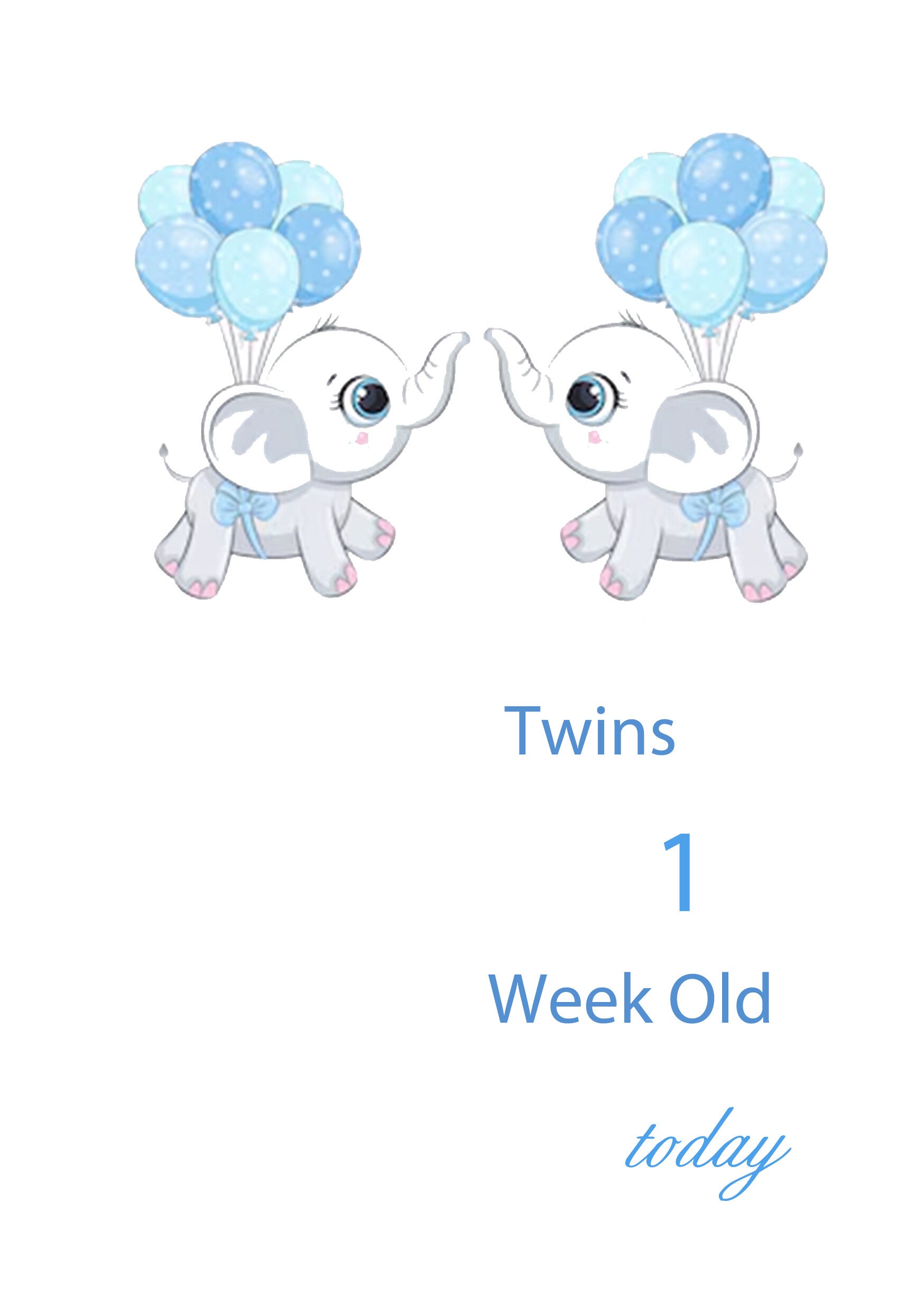 Milestone Baby Cards Twin Boys