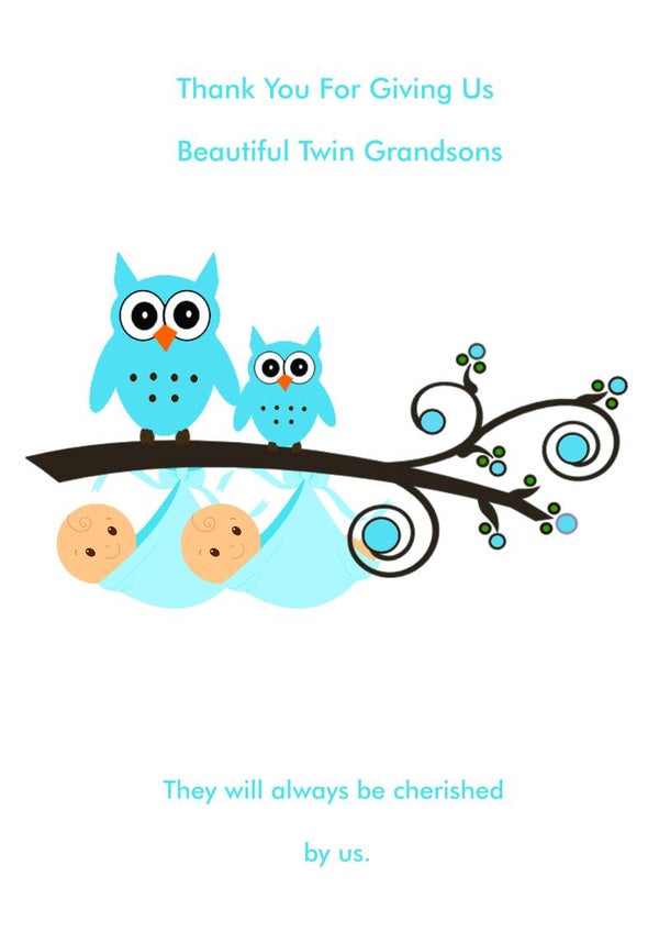 New Twin Grandsons Card