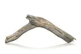 Extra Small Driftwood