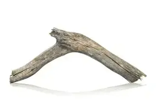 Extra Small Driftwood