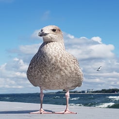 20180815_141349.jpg