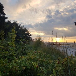 20180814_200015.jpg