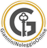 GianniniNoleggioOnline
