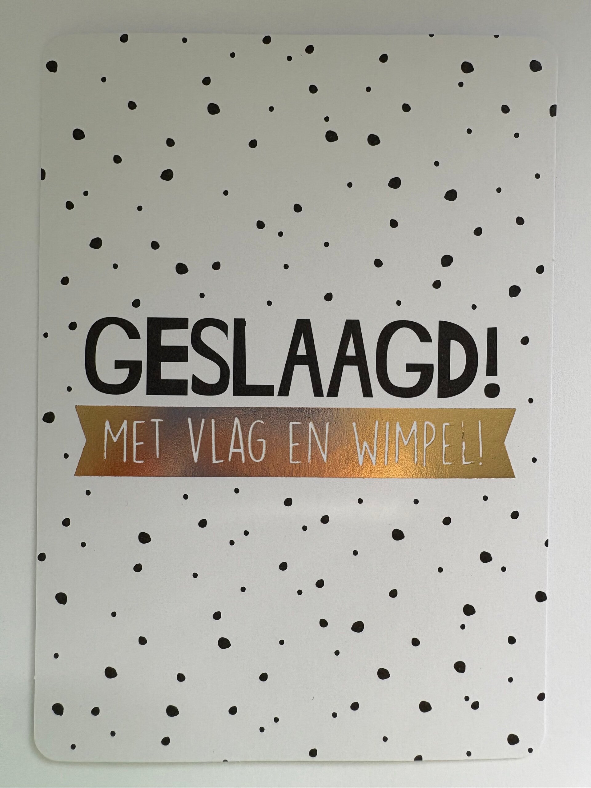 Geslaagd met vlag en wimpel!