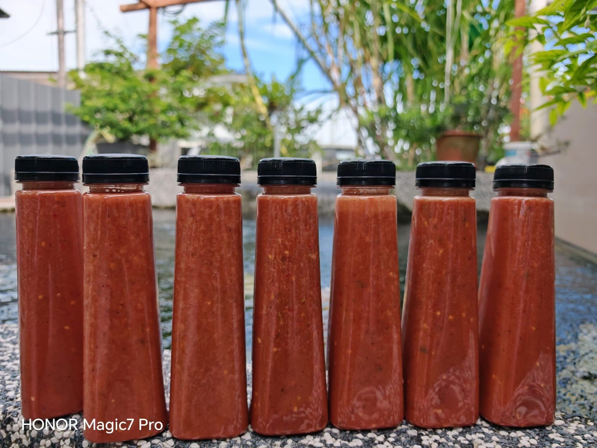 Birds Chilli blend with calamansi ( Lada Padi + Limau Kasturi)