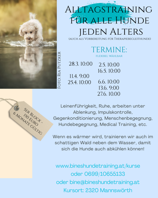 Schnuppertraining Alltag