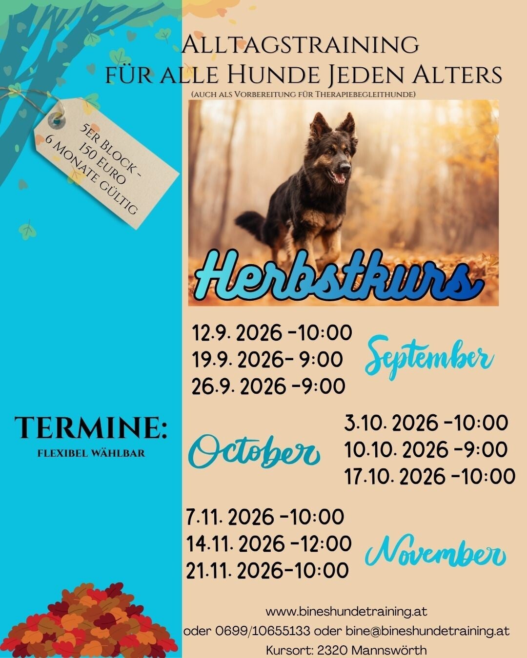 Schnuppertraining Alltag