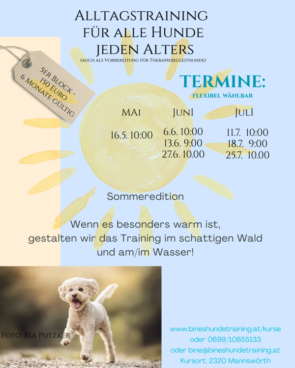Schnuppertraining Alltag